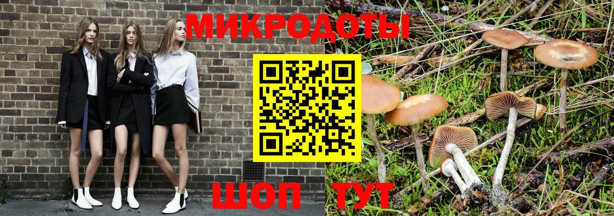 Галлюциногенные грибы Cubensis Великий Новгород