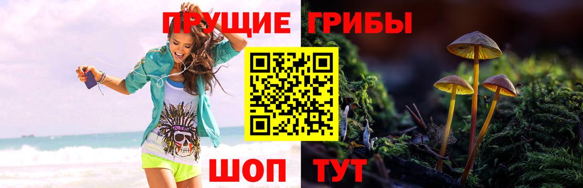 Великий Новгород  Псилоцибиновые грибы ЛСД  Вход с VPN 